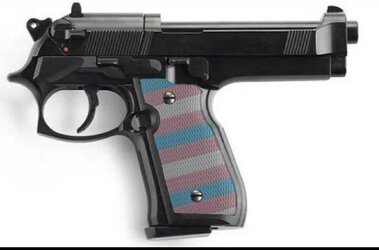 trans_gun.jpg
