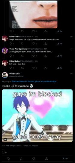 sdt4.png