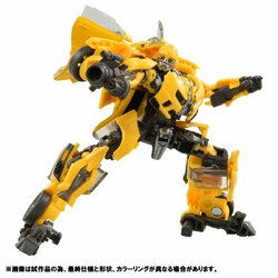 TT-008.jpg