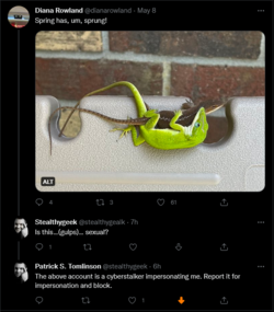 s10.png
