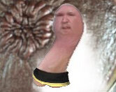 F7C98E8B-6156-4BC3-A21C-02BB1984C2DB.jpeg