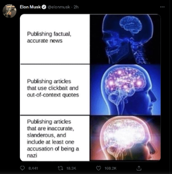 musk.png