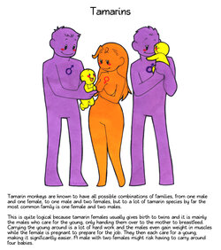 tumblr_m11111111dESPp11qc11nxu11.jpg