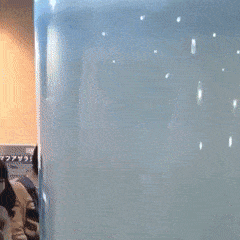 AlienatedSociableIndri-max-1mb.gif