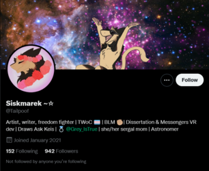 Screenshot 2022-05-12 at 19-53-22 Siskmarek ~☆ (@Tailpoof) _ Twitter.png