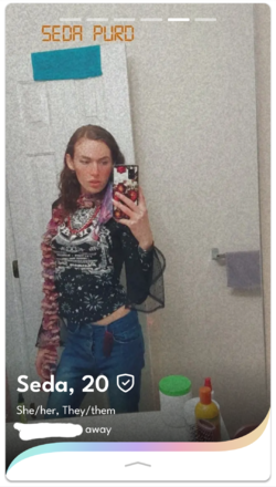 seda_05.png