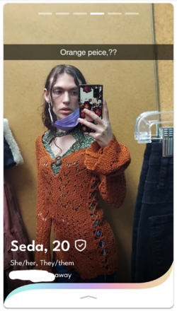 seda_04.png