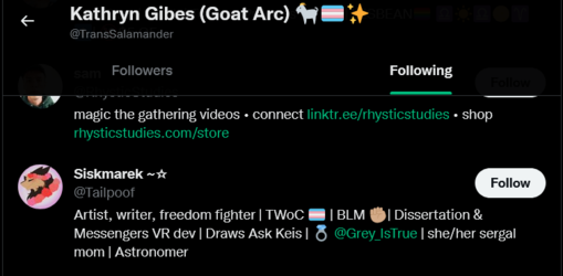 Screenshot 2022-05-12 at 20-09-44 People followed by Kathryn Gibes (Goat Arc) 🐐🏳️‍⚧️✨ (@TransS...png