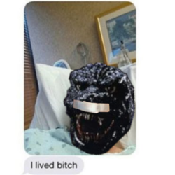 I Lived Bitch.png