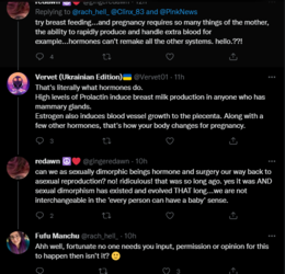 more than wombs 2.PNG