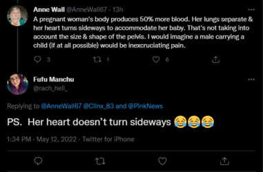 more than wombs 3.PNG