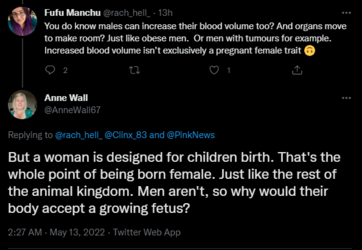 more than wombs 4.PNG