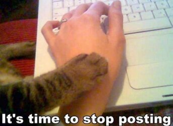 stop posting plz.jpg