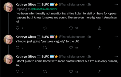 Screenshot 2022-05-13 at 19-30-30 Kathryn Gibes 🔜 BLFC 🏳️‍⚧️✨ on Twitter.png