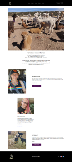 new about page.png