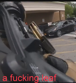 Mags.png