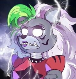 roxy NOW.jpg