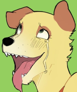 wolf.png