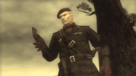 2CIheuw.gif
