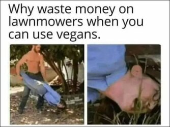 15-lawnmower-vegans-pl.jpg