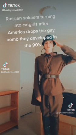 1652682916702.png