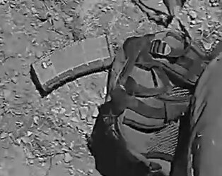 pmag.jpg