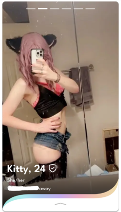 kitty_02.png