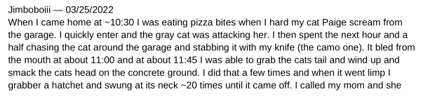 cat1.png