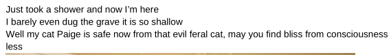 cat3.png