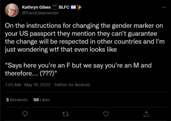 Screenshot 2022-05-16 at 21-13-28 Kathryn Gibes 🔜 BLFC 🏳️‍⚧️✨ on Twitter.png