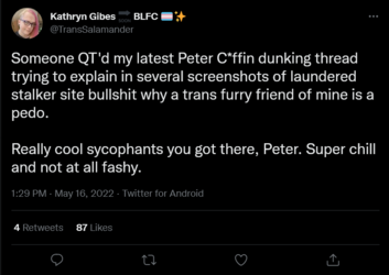 Screenshot 2022-05-16 at 21-15-10 Kathryn Gibes 🔜 BLFC 🏳️‍⚧️✨ on Twitter.png
