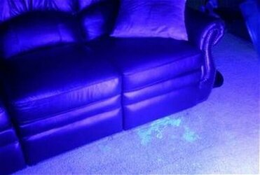 nm-9-bodily-fluid-detection-light-23__17912.1490295505.jpg