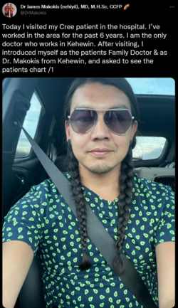 Screenshot 2022-05-17 at 15-37-29 Dr James Makokis (nehiyô) MD M.H.Sc CCFP 🌈 on Twitter.png