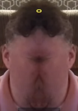 stag1.png