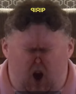 stage2.png