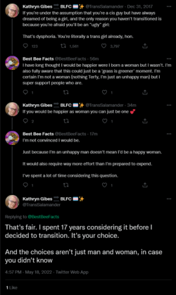 Screenshot 2022-05-18 at 17-13-04 Kathryn Gibes 🔜 BLFC 🏳️‍⚧️✨ on Twitter.png