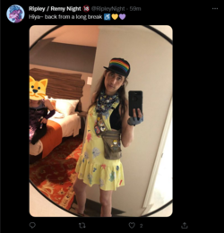 Screenshot 2022-05-18 at 17-19-07 Tweets with replies by Ripley _ Remy Night 🔞 (@RipleyNight) ...png