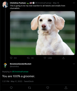 Screenshot 2022-05-18 at 17-40-54 BonelessGenderBucket on Twitter.png