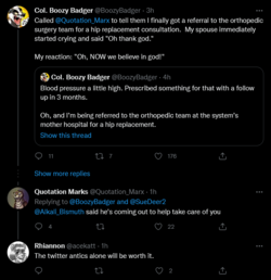 Screenshot 2022-05-18 at 13-38-39 Tweets with replies by Rhiannon (@acekatt) _ Twitter.png