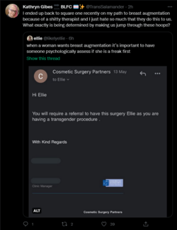 Screenshot 2022-05-18 at 23-19-37 Tweets with replies by Kathryn Gibes 🔜 BLFC 🏳️‍⚧️✨ (@TransSa...png