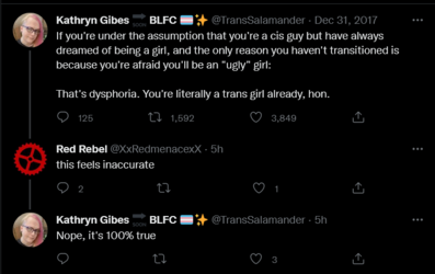 Screenshot 2022-05-18 at 23-22-58 Tweets with replies by Kathryn Gibes 🔜 BLFC 🏳️‍⚧️✨ (@TransSa...png