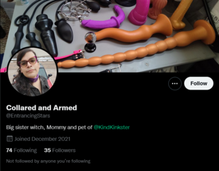 Screenshot 2022-05-18 at 23-39-08 Tweets with replies by Collared and Armed (@EntrancingStars)...png