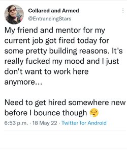 Screenshot_20220519-014634_Twitter.jpg