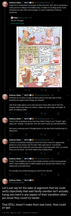 Screenshot 2022-05-19 at 17-37-12 Kathryn Gibes 🔜 BLFC 🏳️‍⚧️✨ on Twitter.png