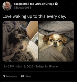 Screenshot_20220519-131533.png