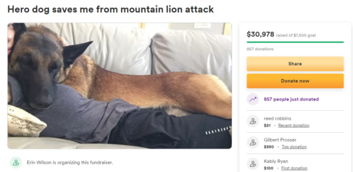 1652981129067.png