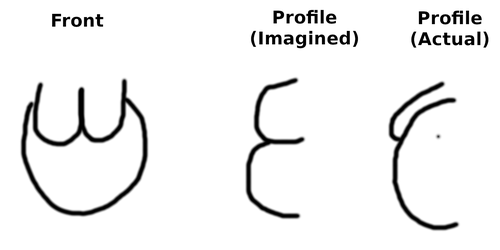 tess_tits_reality_vs_expectation.png