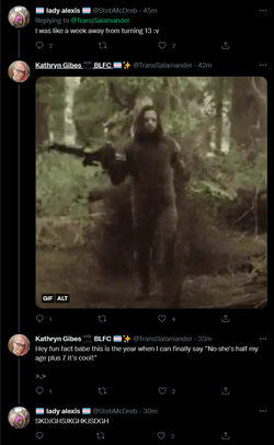 Screenshot 2022-05-19 at 17-36-16 Kathryn Gibes 🔜 BLFC 🏳️_⚧️✨ on Twitter.png