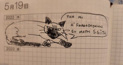 20220519_221032.jpg