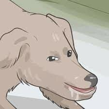 images.jpg